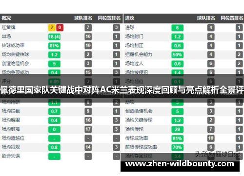 佩德里国家队关键战中对阵AC米兰表现深度回顾与亮点解析全景评