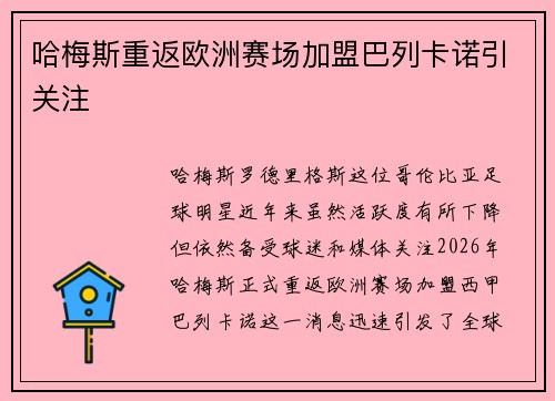 哈梅斯重返欧洲赛场加盟巴列卡诺引关注 哈梅斯重返欧洲赛场加盟巴列卡诺引关注