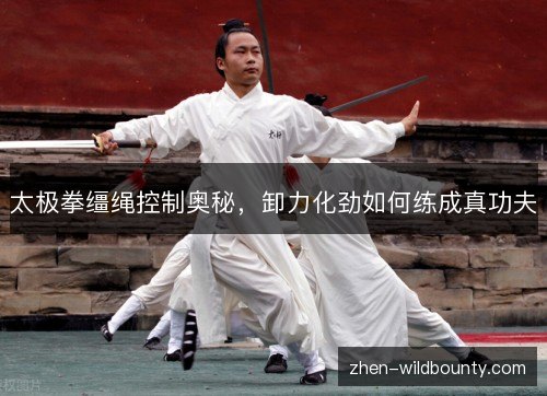 太极拳缰绳控制奥秘,卸力化劲如何练成真功夫 太极拳缰绳控制奥秘,卸力化劲如何练成真功夫