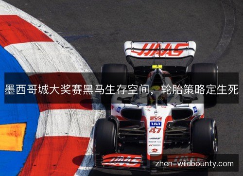 墨西哥城大奖赛黑马生存空间,轮胎策略定生死 墨西哥城大奖赛黑马生存空间,轮胎策略定生死